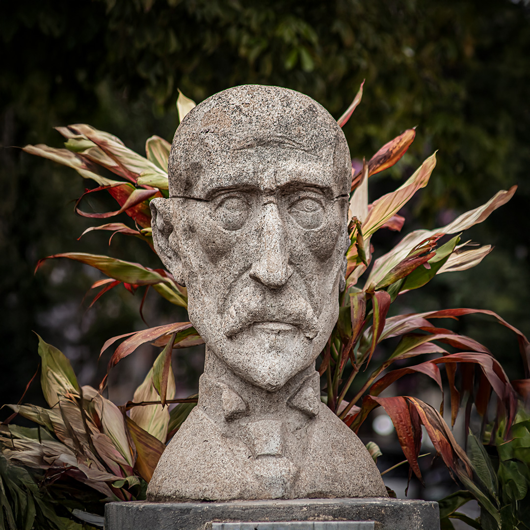 Cabeza de Lynch Arribálzaga