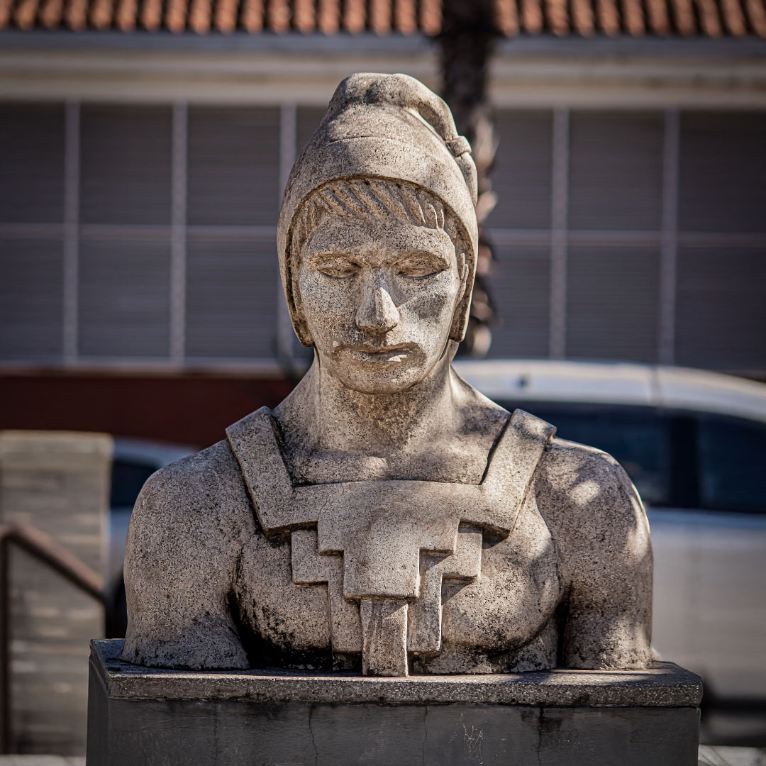 Cabeza de canto al sol