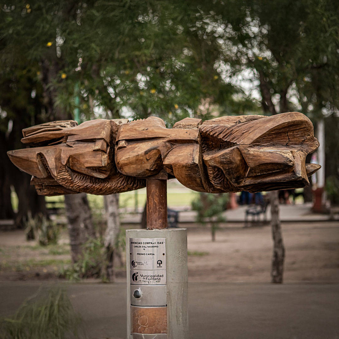 Vivencias compartidas